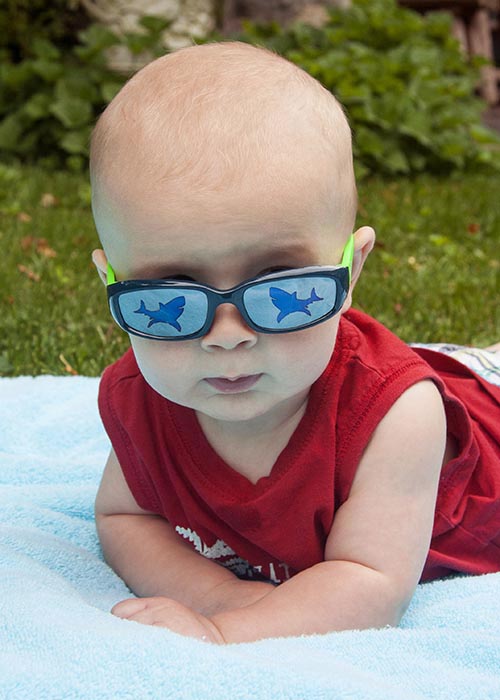 Elliot and His Shark Shades